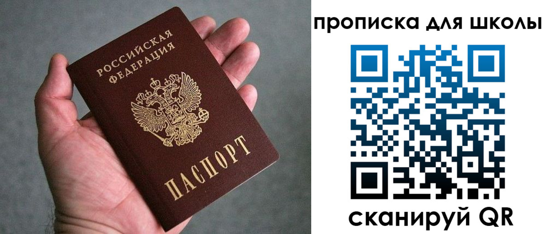 прописка для школы в Краснодаре